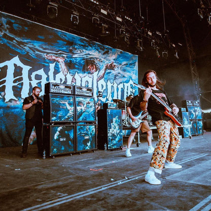 Custom Printed Cabinet Grill Cloth image 7