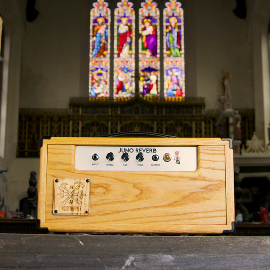 Noisy Hammer Juno Reverb Unit image 0