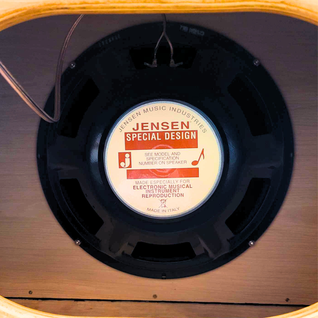 Noisy Hammer Juno Series 1x12 Cab image 9